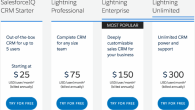 Salesforce CRM Cost: Managing Expenses Efficiently